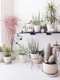 Articles about collection/decorating on apartment therapy, a lifestyle and interior design community with tips and expert advice on creating happy, healthy homes for everyone. 7 Different Way To Indoor Plants Decoration Ideas In Living Room
