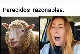 Rosario Mohedano reaparece tras la comunión de su hijo: seria y de luto en  el tanatorio. 📲