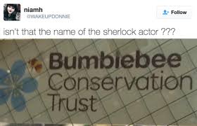 That S Him 19 Totally Real And Legit Ways To Spell Benedict Cumberbatch S Name Benedict Cumberbatch Names Benedict Cumberbatch Funny Benedict Cumberbatch