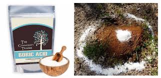 Soak it until the ground is fully saturated and the water is ponding, and then keep going a bit longer. How To Get Rid Of Ant Hills Boric Acid Pest Hacks