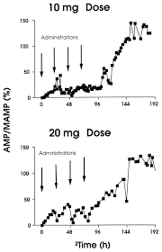 Duration Of Detectable Methamphetamine And Amphetamine