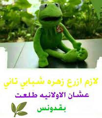 انت بقدونس ونحنا كزبرة arabic funny funny qoutes funny memes