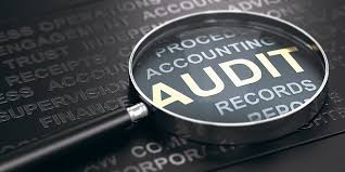 Manage resources and audit assignments. Auditing Overview Importance Types And Accounting Standards