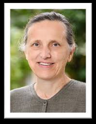 Message from the Department Head