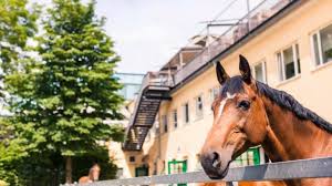 Universitats Reitschule Munchen Beitrage Facebook