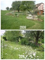 Vorher Nachher Before After Gardening Gardenisnpiration Gartenplanung Gartengestaltung Umgestaltung Sandkas Garten Ein Schweizer Garten Gartengestaltung