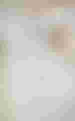 Es werden in deutschland immer mehr einbrüche registriert. Il Barbiere Di Siviglia Staatsoper Berlin