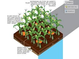 We did not find results for: 3 Sisters Garden Layout Garden Layout