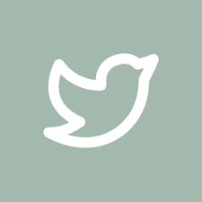 Facebook instagram twitter youtube google linkein grey twitter logo transparent background, hd png download #10936464. Twitter In 2021 App Icon Ios Icon Icon