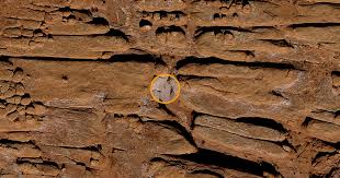 The monolith that mysteriously appeared out of nowhere in the utah desert was removed from its location in the middle of the night over the weekend while a similar structure showed up in europe. Mysterious Monolith Has Been There For Years According To Google Earth