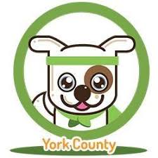 York, pa > community events for sale gigs housing jobs resumes services > all activity partners artists childcare general groups local news and views lost & found missed connections musicians pets politics rants & raves rideshare volunteers pets > York County Pa Lost Dogs Cats Pets Home Facebook