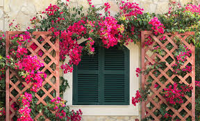 Bay window replacement from window nation. Front Yard Landscaping Ideas The Home Depot