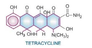 Image result for Tetracyclines
