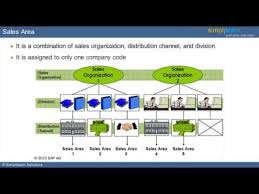 Sap Sales And Distribution Enterprise Structure What Is Sap Sap Video Tutorial