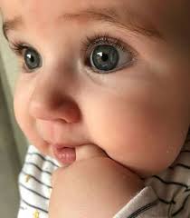 Edith Rosado (edithrosado144)