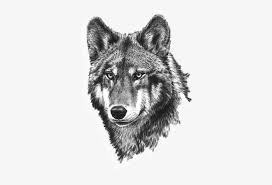 Free royalty free illustration graphics. White Wolf Clipart Tatuajes Para Hombres Lobos Png Image Transparent Png Free Download On Seekpng