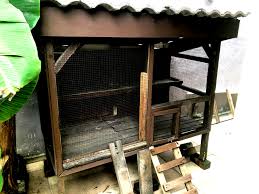 We did not find results for: Reban Ayam Bahasa English