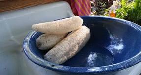 6-27-2026 Loofahs