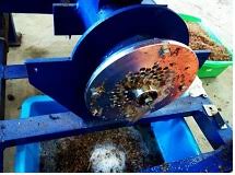 Daya mesin yang dibutuhkan untuk menggerakkan mesin dengan kapasitas 200kg/jam adalah > 0,673 kw. Mesin Pencacah Dan Penggiling Rumput Laut Sistem Berkelanjutan Lr Mphp Indonesian Research Institute For Fisheries Postharvest Mechanization