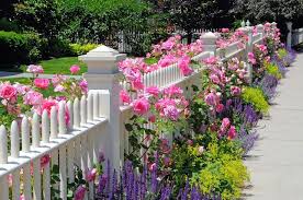 Garden Fence With Pink Roses Sage Speedwell And Catmint Gardenthatwins Gardening Garden Ilovegardening V Blumenbeete Vorgarten Vorgarten Anlegen