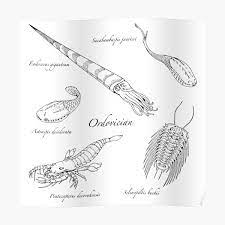 Crinoids date from the earliest ordovician, about 500 million years ago, and a few species still inhabit today's oceans and are cultivated in aquaria by advanced hobbyists. Paleozoic Era Posters Redbubble