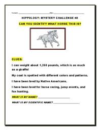 Maybe you would like to learn more about one of these? Horse Anatomy Worksheets Teaching Resources Teachers Pay Teachers