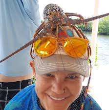 Where to find volleyball leagues or pickup games in Pensacola?