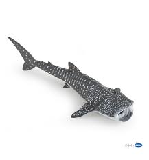 Ce plongeur nage avec un requin baleine magnifique. Figurine Requin Baleine