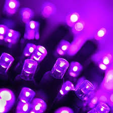 Go green with our high quality led outdoor string light sets. Purple Fairy Lights 10m My Wedding Store
