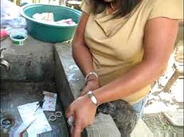 تفسير ذبح البط بالمنام لابن سيرين. Women Killing Chickens Youtube
