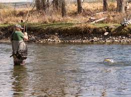 Pin On Fishing Stock Photos