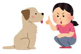 ペットのしつけのイラスト | かわいいフリー素材集 いらすとや