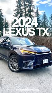 Image result for Nightfall 2024 TX