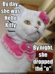 Lol Photo Funny Lol Pics Of Cats Hello Kitty Costume Adorable Kittens Funny Funny Cats