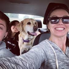 AIRPORT ANIMAL HOSPITAL