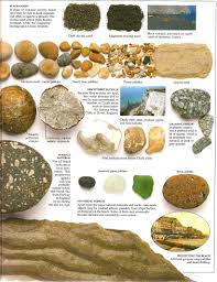 rocks on the seashore from rocks minerals eyewitness