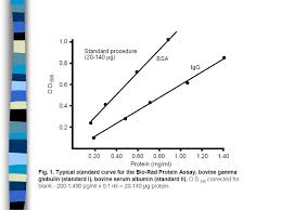 B average of duplicate samples. Protocol Isolation Of Proteins Determination Of Protein Concentration Ppt Download