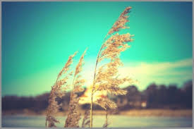 Image result for aesthetic laptop wallpaper. Tumblr Wallpaper For Laptop Artsy Aesthetic Computer Backgrounds 371697 Hd Wallpaper Backgrounds Download
