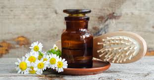 تعرف على زيت البابونج للشعر ويب طب