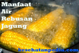 Dikatakan khasiat air rebusan jagung boleh merawat diabetis, darah tinggi dan batu karang. Manfaat Air Rebusan Jagung Manis Untuk Kesehatan Kesehatanpedia