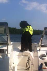 This ain't sea world, this's as real as it gets. Micah On The Boat Portuguese Water Dog Water Dog Puppies