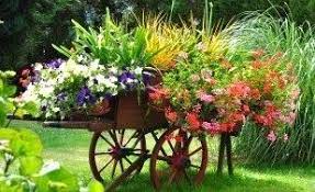 epingle sur fleurs des contenants originaux insolites etc