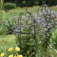 We did not find results for: Stand By Me Bush Clematis Clematis Hybrid Proven Winners