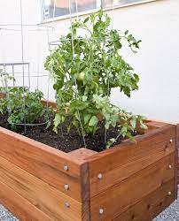 Our exclusive planters produce a large harvest and reduce watering chores. Large Redwood Planter Box For Tomatoes Tomato Planter Redwood Planter Boxes Redwood Planter