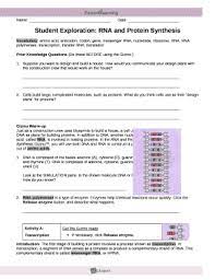 29 rna and protein synthesis gizmo worksheet answers. Rna And Protein Synthesis Gizmo Answer Key Pdf Doc Template Pdffiller