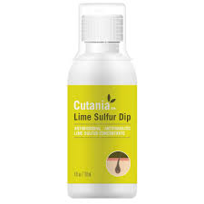 Image result for Limeum sulcatum