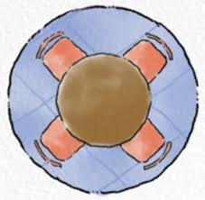 Standart halı ölçüleri nelerdir ve halının metre kare hesaplaması nasıl yapılır? Hali Olculeri Ev Hali Boyutlari Ve Ebatlari Hesaplama Yontemi Decombo