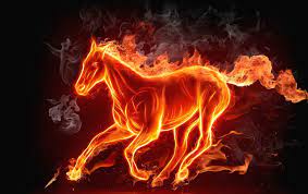 Free 3d Animated Wallpapers Free Animated Wallpaper Animated Wallpapers For Mobile Horse Wallpaper