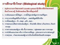 Maybe you would like to learn more about one of these? Biology Study à¸à¸²à¸£à¸¨ à¸à¸©à¸²à¸Š à¸§à¸§ à¸—à¸¢à¸²