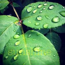 No individual raindrop ever consider itself responsible for the flood. Sunshine After Rain Quotes Weather Seasons Rain Plant Leaves